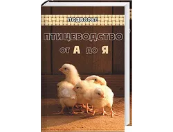 catalog-prev-item